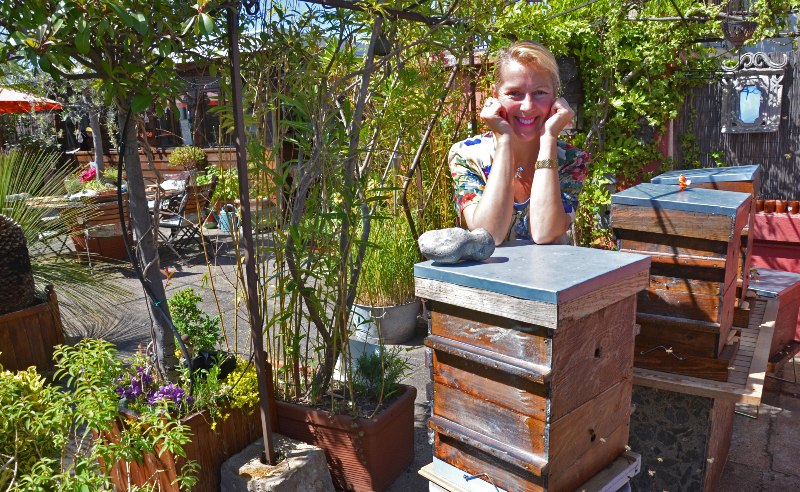 Installer une ruche chez soi : 5 choses à savoir ! - L'Atelier par