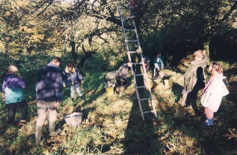 Yohann An Nedeleg (de dos à gauche), ramasse des pommes en 2002 à Plesidy, entouré de deux autres générations.