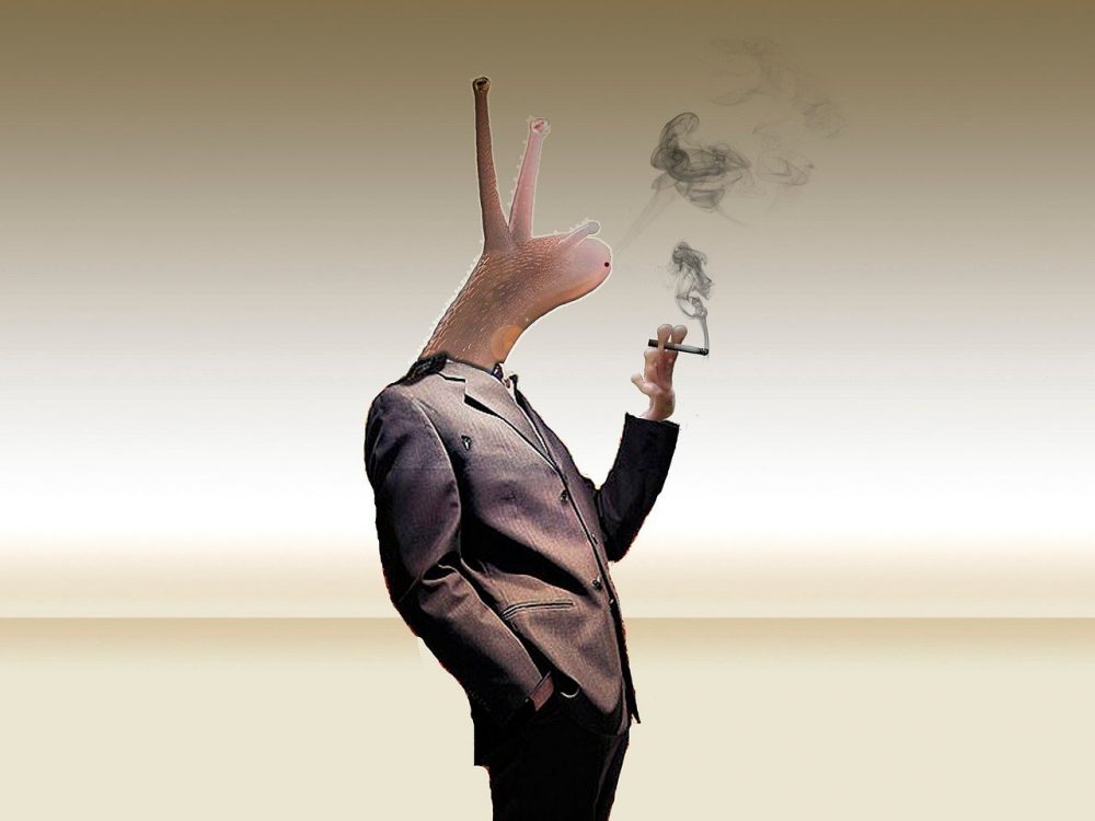 [Articles] « Pourquoi fumer c’est de droite » : un pamphlet contre l’industrie du tabac, ses ravages sociaux et écologiques